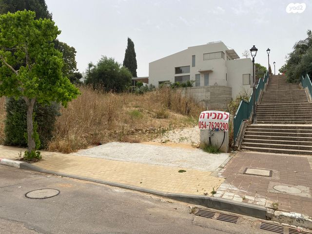 חרצית 39