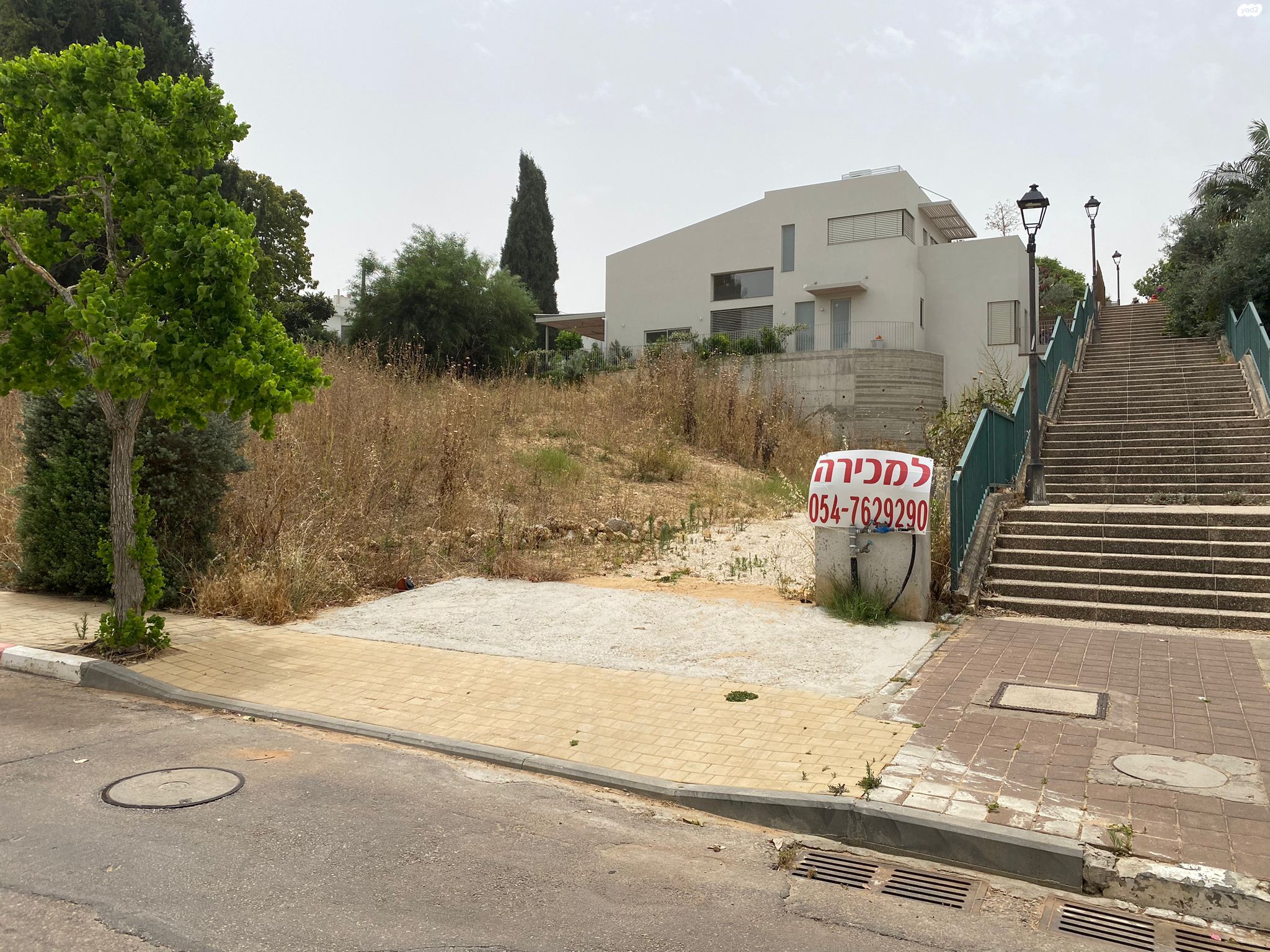 חרצית 39