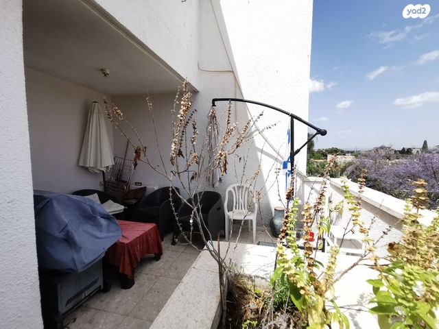 דירה, מענית, כפר סבא