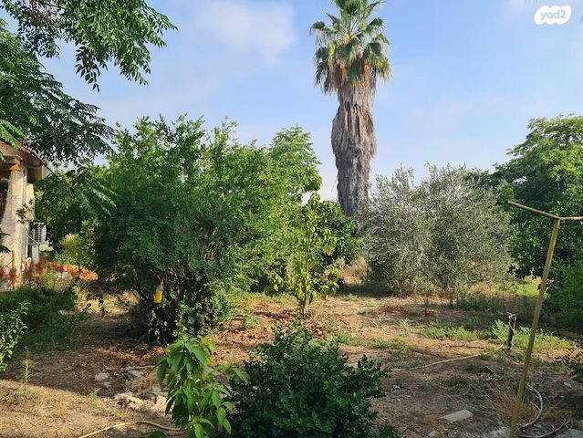 משק חקלאי/ נחלה