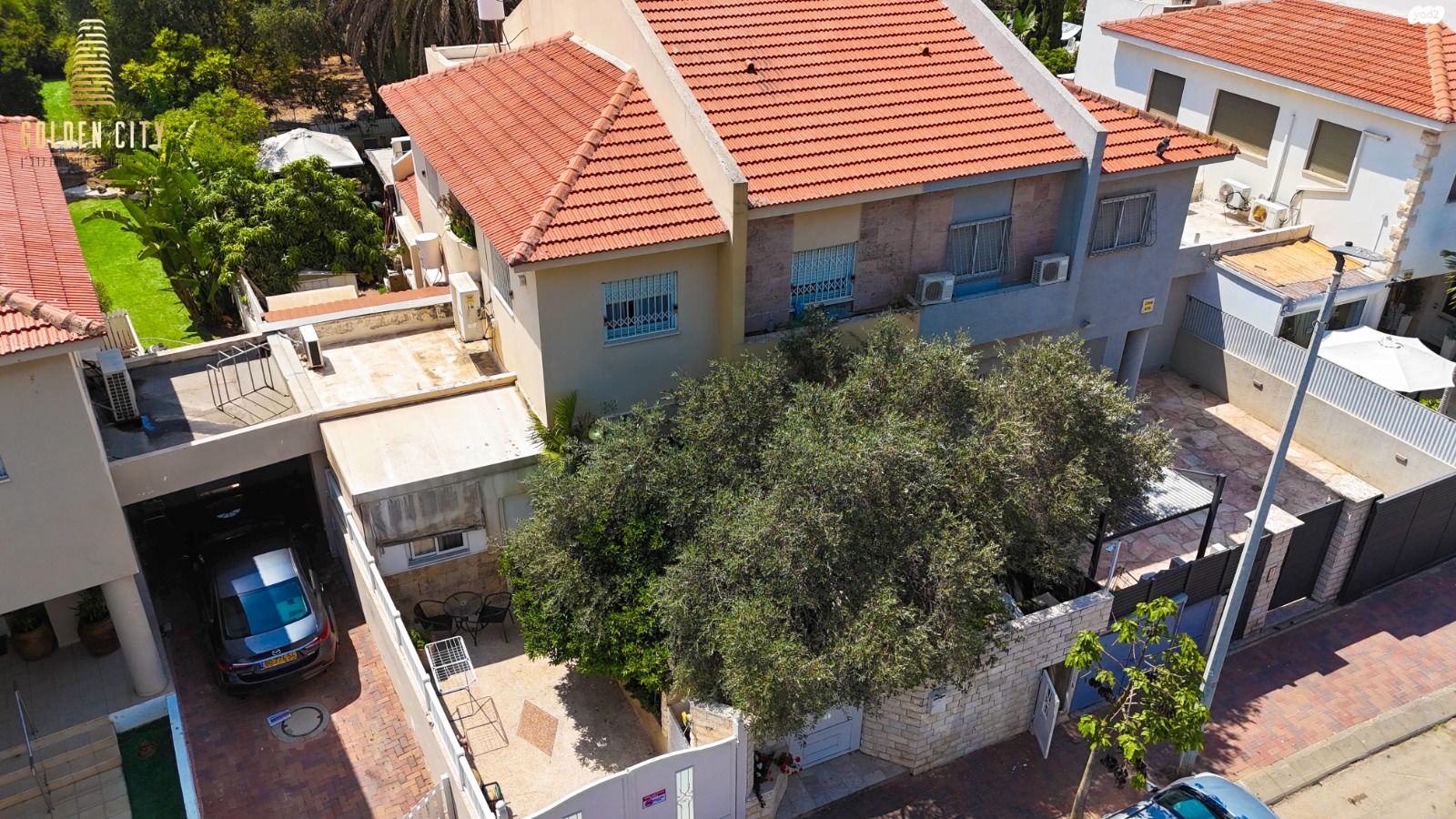 סחלב 70