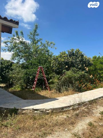 משק חקלאי/ נחלה, בית הלוי