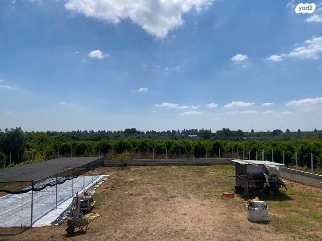 משק חקלאי/ נחלה, בית הלוי