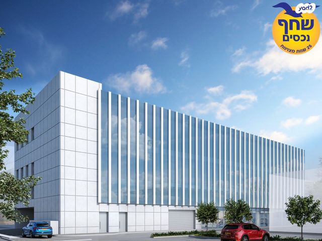 אלכסנדר ינאי 13