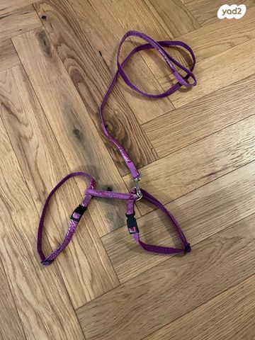 תמונת מודעה - חיות מחמד