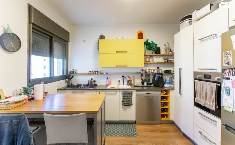 דירה, יעל רום, הדר המושבות החדשה / אם המושבות החדשה, פתח תקווה