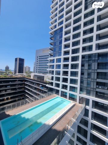 ליאונרדו דה וינצ'י 