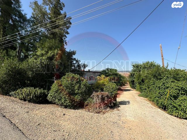 משק חקלאי/ נחלה, השקד, כפר קיש, כפר קיש