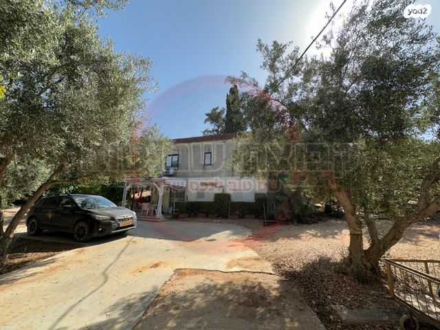 משק חקלאי/ נחלה, השקד, כפר קיש, כפר קיש