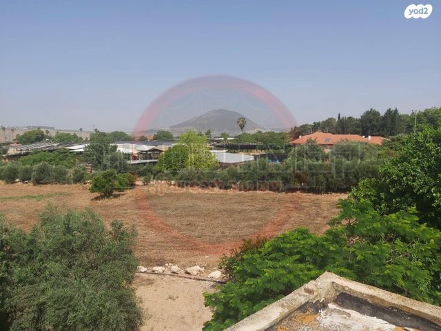 משק חקלאי/ נחלה, השקד, כפר קיש, כפר קיש