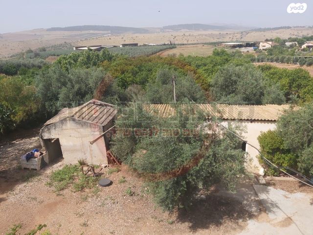 משק חקלאי/ נחלה, השקד, כפר קיש, כפר קיש