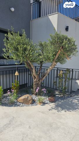 בית פרטי/ קוטג', ברנע, אשקלון