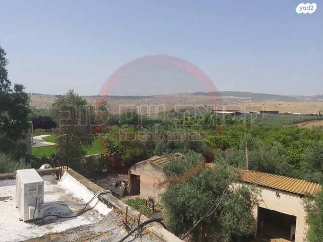 משק חקלאי/ נחלה, השקד, כפר קיש, כפר קיש