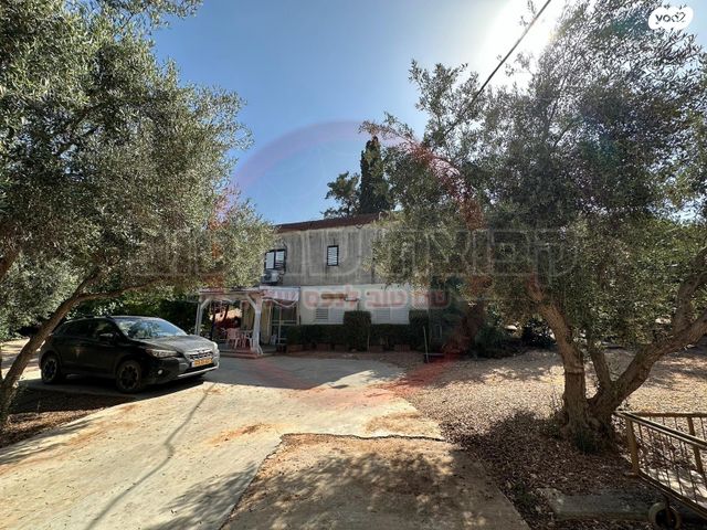 משק חקלאי/ נחלה, השקד, כפר קיש, כפר קיש