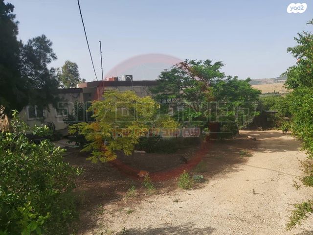 משק חקלאי/ נחלה, השקד, כפר קיש, כפר קיש