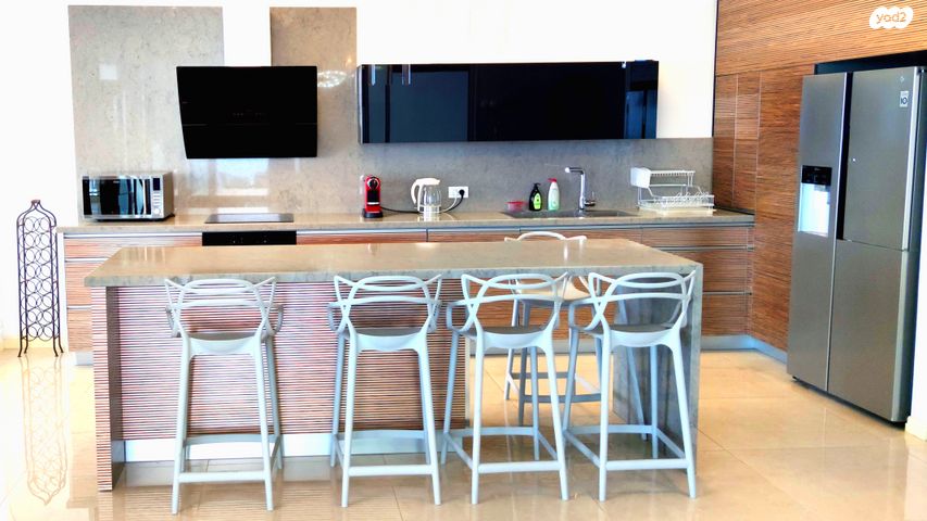 גג/ פנטהאוז, דוד המלך, צפון מערב מרכז העיר, נתניה