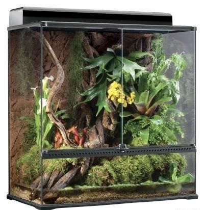 אביזרים | טרריום