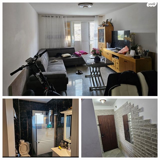 אריה מוצקין 