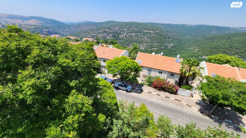 דירה, ההגנה 41, יצחק רבין, מעלות תרשיחא