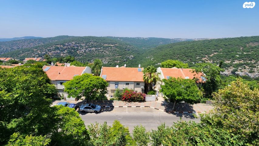 דירה, ההגנה 41, יצחק רבין, מעלות תרשיחא