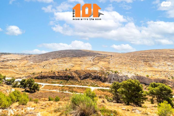 דירה, עמנואל זיסמן, ירושלים