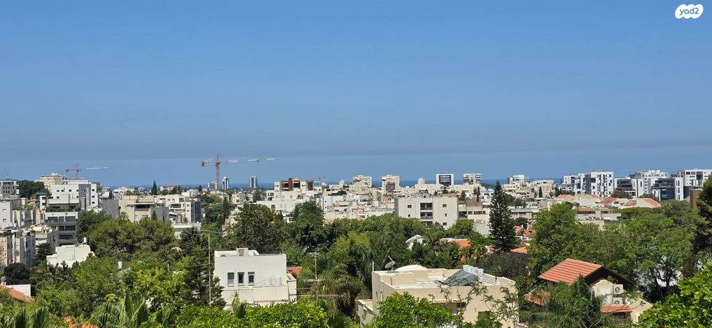 אריה לייב יפה 