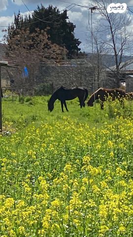 משק חקלאי/ נחלה, אורן 1, דוב''ב, דוב"ב