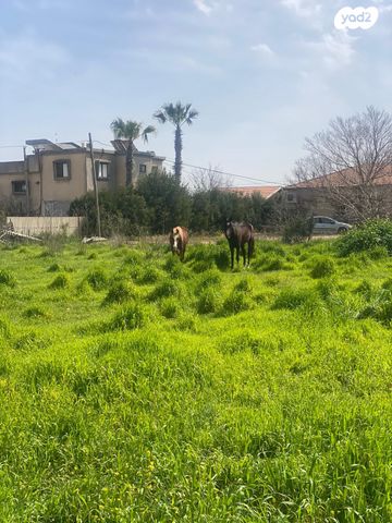 משק חקלאי/ נחלה, אורן 1, דוב''ב, דוב"ב