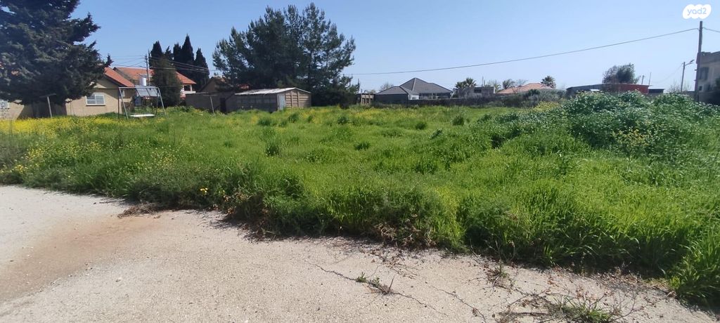 משק חקלאי/ נחלה, אורן 1, דוב''ב, דוב"ב