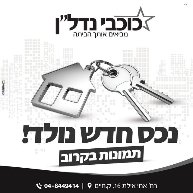 דן 7