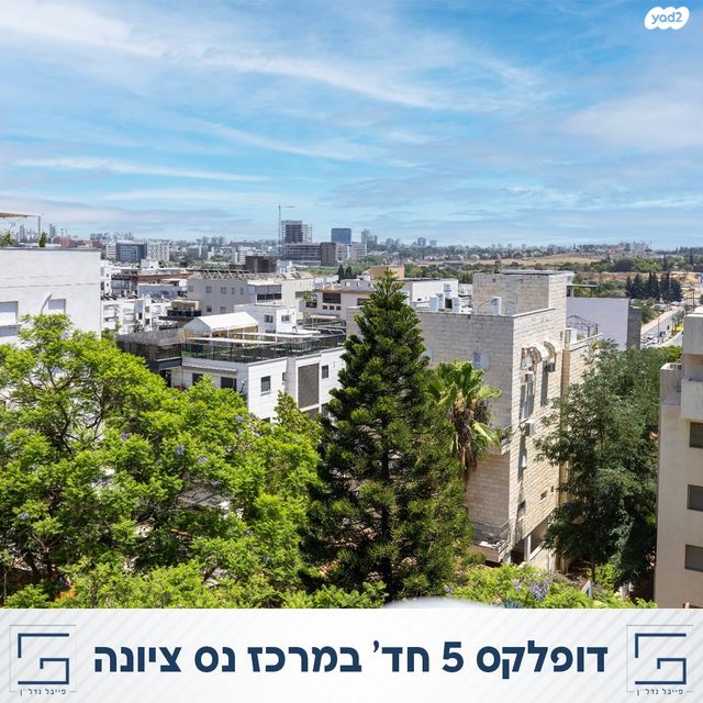 דופלקס, מרכז מערבי, נס ציונה