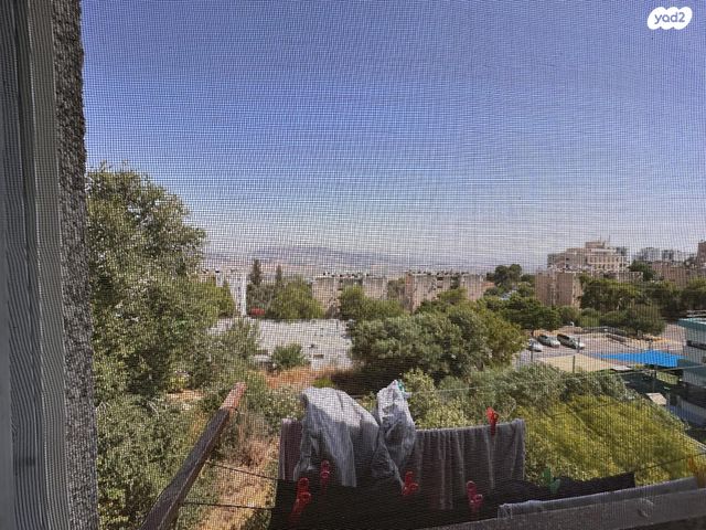 חרוד 