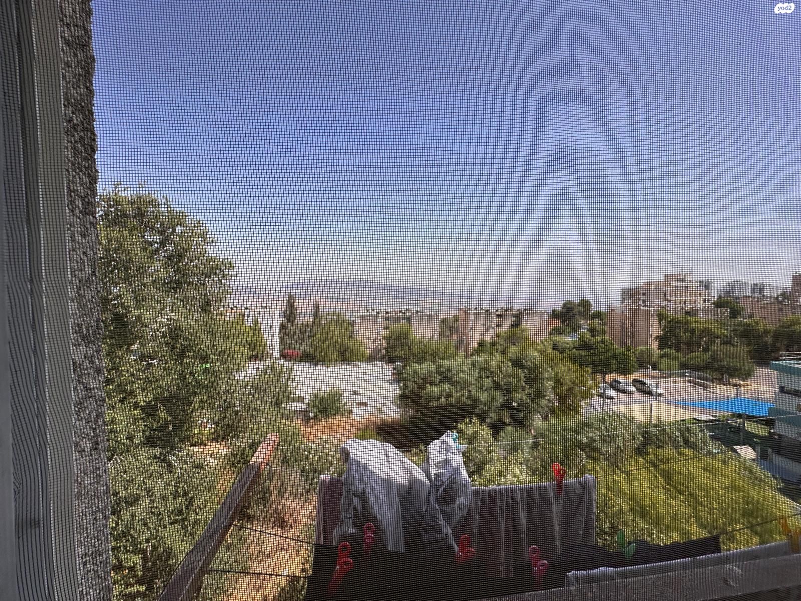 חרוד 