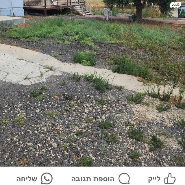 שקמים ואגמים