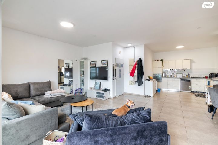 דירה, חזון אי"ש, רחובות הצעירה, רחובות