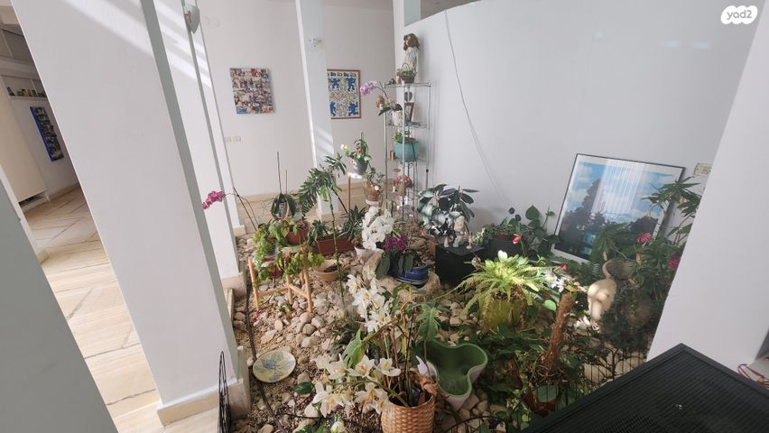 בית פרטי/ קוטג', קיסריה