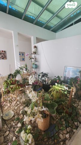 בית פרטי/ קוטג'