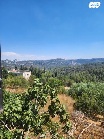 מעוז ציון א'