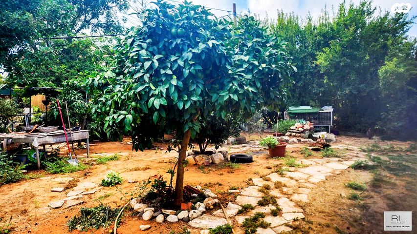 בית פרטי/ קוטג', עתלית