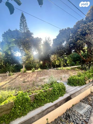 דירה, פנחס רוזן, הדר יוסף, תל אביב יפו