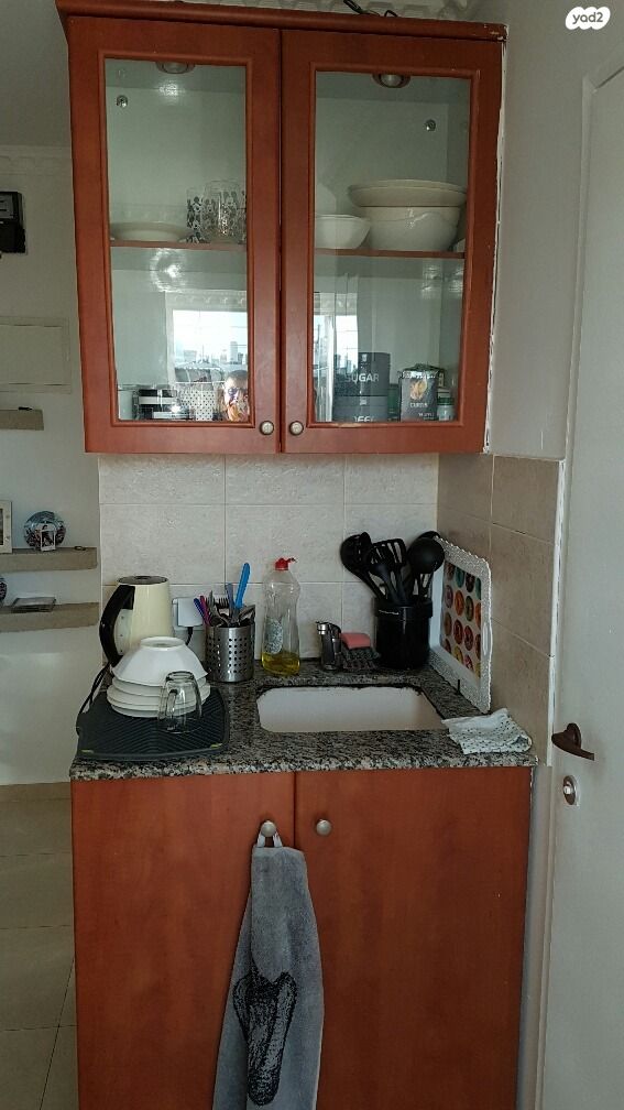 דופלקס, תלמים, גני אביב, לוד