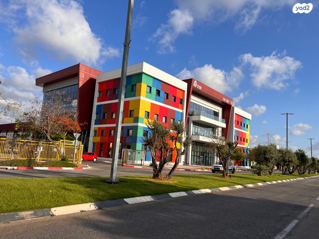 אלון התבור 20