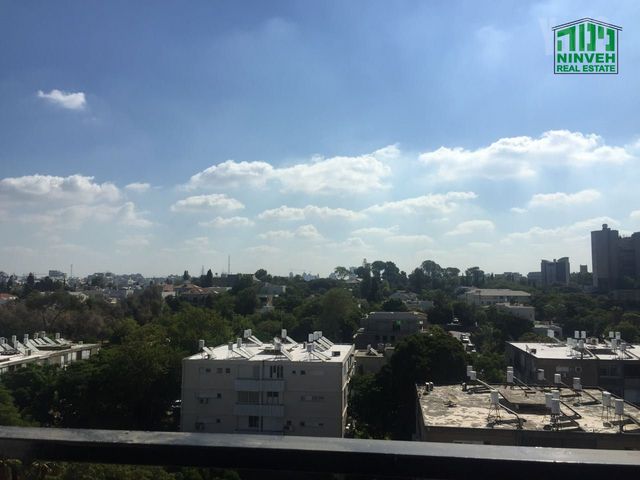 גייגר 
