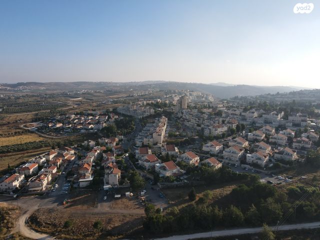 צוקית 
