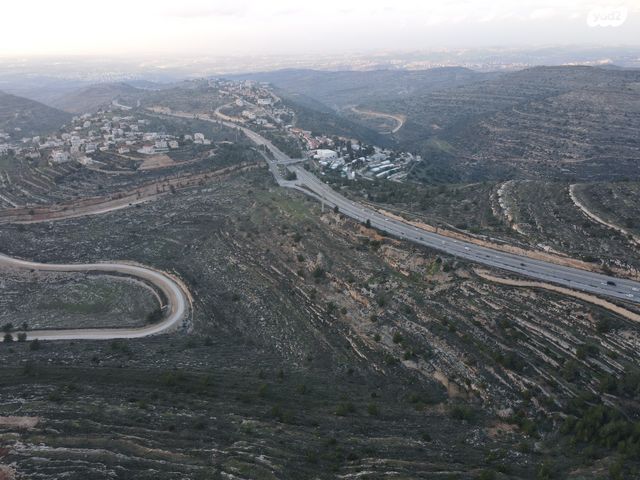 מגרשים