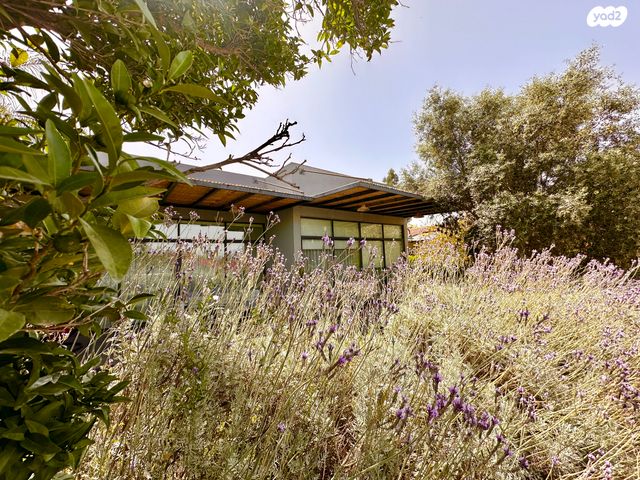 בית פרטי/ קוטג', רמת דוד