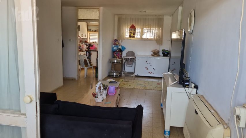דוד הכהן 5
