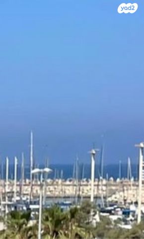 כללי, אוניון, מרינה, אשדוד