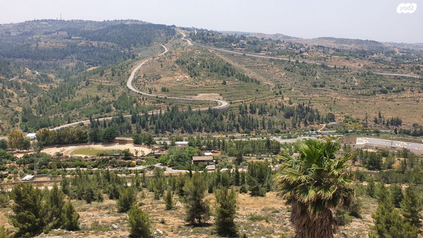 אריה דולצ'ין 