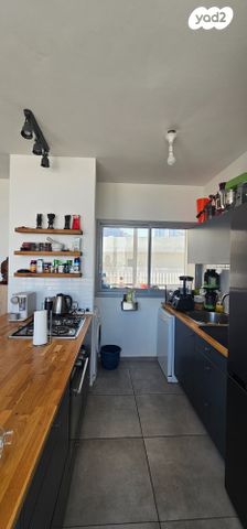 גג/ פנטהאוז, פין 1, נווה שאנן, תל אביב יפו